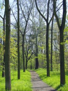 Walk and Talk im Frühling